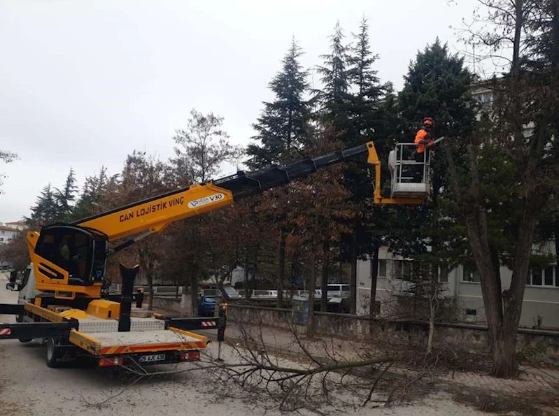 ODUNPAZARI’NDA AĞAÇ BAKIMLARI SÜRÜYOR