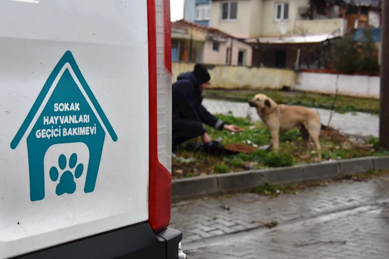 Süleymanpaşa Belediyesi Olumsuz Hava Koşullarında da Can Dostlarının Yanında