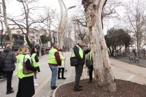 TARİHİ ANIT AĞAÇLAR KAPSAMLI BİR ŞEKİLDE İNCELENDİ