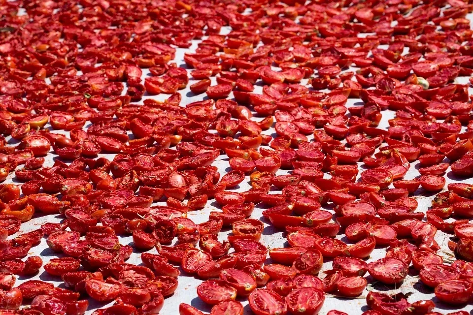 Şifa deposu kuru domates ihracatta dünya ikincisi