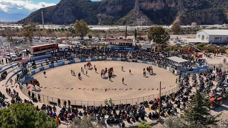 Beymelek Mahalle Muhtarlığı Deve Güreşleri