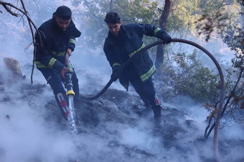 Büyükşehir itfaiyesinden orman yangınına müdahale