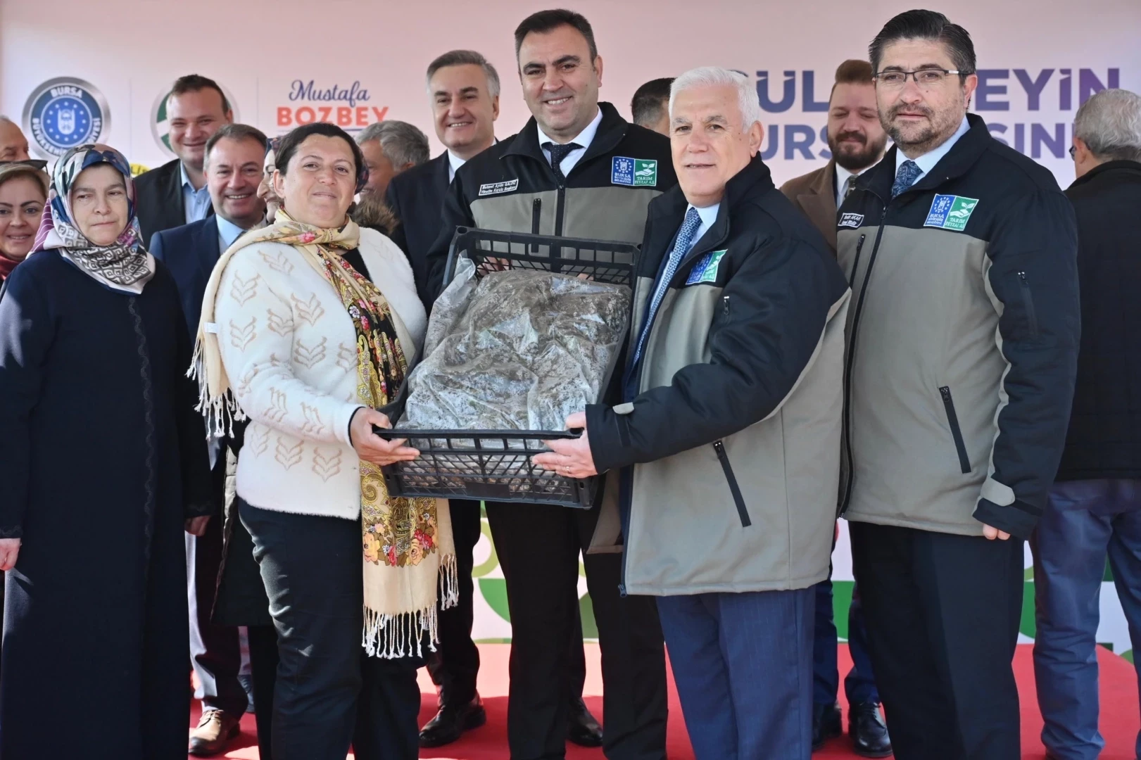 Bursa