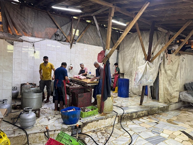 Eyüpsultan’da ruhsatsız hayvan ayağı tesisine baskın: 500 kilo ürün imha edildi