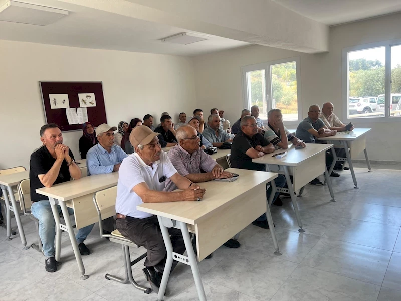 Büyükşehir’den Arıcılara Ana Arı Desteği