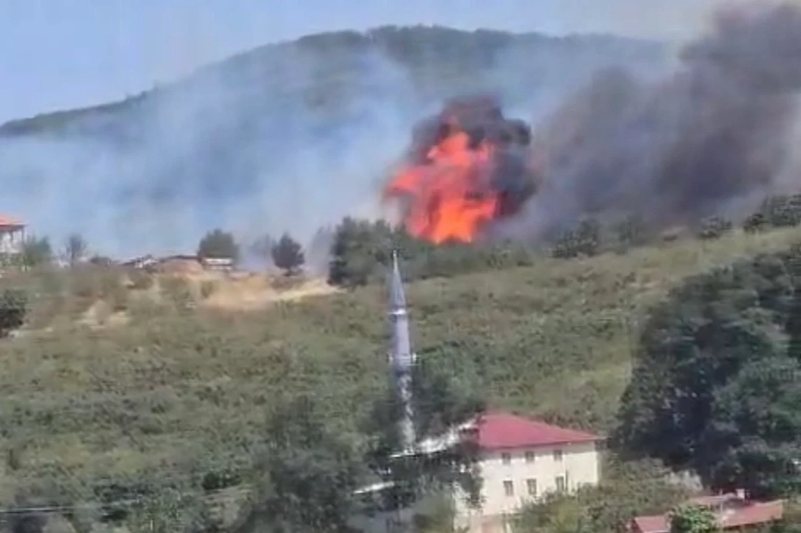 Düzce-Sakarya sınırında orman yangını
