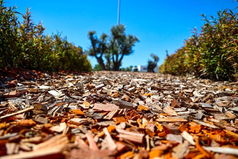 Antalya Büyükşehir Belediyesi kurakçıl peyzajda da öncü