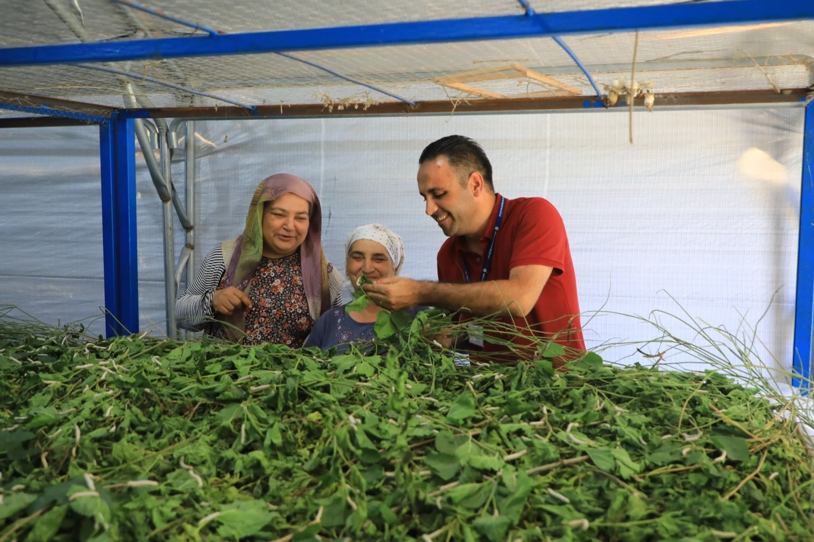 İpekböcekçiliği yeniden doğuyor! Ata mirasına modern dokunuş