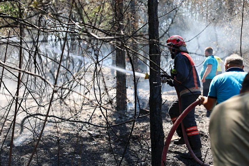 Büyükşehir orman yangınları için çarpıcı bir veri paylaştı: Küçük bir ihmalle, büyük felaketler yaşatmamak için bunlara dikkat