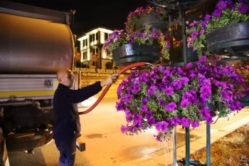 ŞEHRİ RENKLENDİREN ÇİÇEKLER VE AĞAÇLAR GECE MESAİSİYLE CANLANIYOR